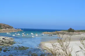 Ker Melen single-storey wooden house 5 minutes from the beach (Finistère, Brittany) - Image 5