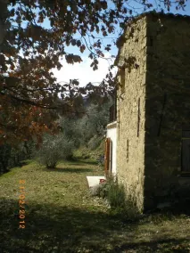Casa independiente con jardin - Image 5