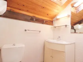 Petit tachette - Image 3