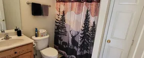Luxurious Mountaintop Chalet / Cabin in 'The Woods Golf Resort':Access Amenities - Image 4