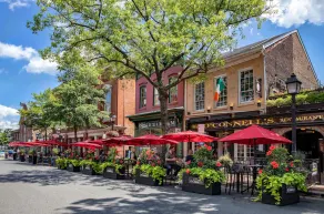 Perfect Alexandria Guest Suite Near Washington DC! - Image 5