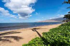 Maalaea Surf Oceanfront 1 BR Water Front Sailors Surfers Paradise Complimentary Car with 6 Nights MSR-F2 by KBM - Image 5