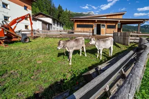 Mühlanderhof Apt Piz Lad - Image 3