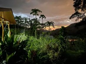 Casa Cacique 2026 NEWLY Re-Opened and Managed- surrounded by nature and beauty - Image 3