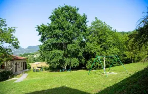 Valguerriera - Rosa Bianca - Image 2