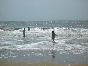Smuk mainson vendéee ved havet og skoven - Image 4