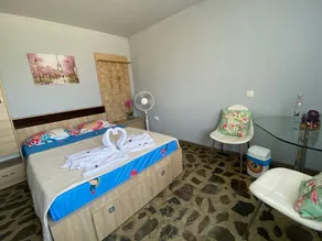 Angler's lodge near Bucharest - Image 4