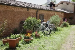 Organic Farm in der Gegend von Siena - Image 5