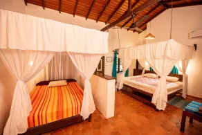 Ging Oya Lodge - Image 4