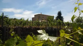 ØKOLOGISKE LAND KOMFORT MED NATURLIG POOL MIDT I VINES - Image 5