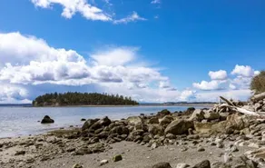 Quiet & Relaxing Family View Home for Beach Lovers & Whale Watchers, +EV charger - Image 4