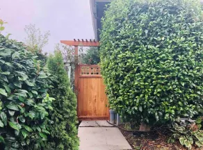 Cozy Bungalow in  Beautiful Neighborhood - Image 4