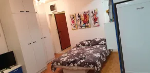 Veki,s house is a 30 m2 studio located in the center of Skopje. - Image 5