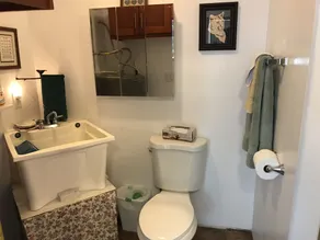 Glamping in a Tiny House! Full size shower and hot water! - Image 3