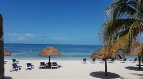 A Little Paradise - Ocean Front - Image 4