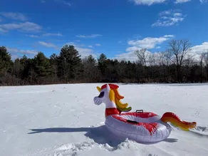 Fickle Fox Farm.  It’s snow season! Lifts are open. Fireplace is crackling! - Image 2
