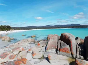 Binalong Beach House - Image 5
