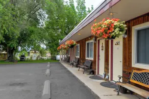 Dew Duck Inn - Image 3