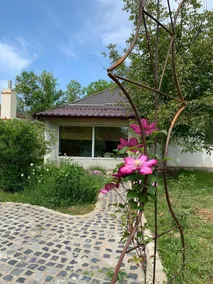Beautiful fully furnished 2 Bdrm Villa with Pool, Snagov Bucharest Romania - Image 4