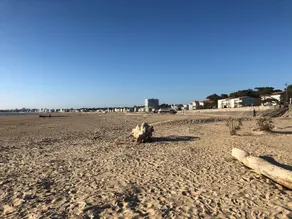Maison Entiere 200 M² 12/15 Pers. Piscine Privee- 400m Plage Royan Parc - Calme - Image 4