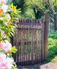 Top of the Otways the Nature Lodge - Image 4