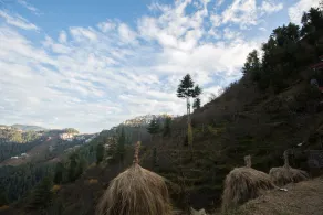 Tilla Homestay Shimla - Image 3
