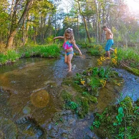 Cozy Cabin in the HEART of the Ozark National Scenic Riverway! - Image 5