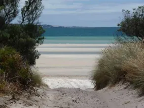 Playa aislada, arbusto nativo - Clearwater Haven - Image 4