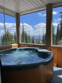 Ski in/ski out chalet. Mountain + valley views. Close to village. - Image 3