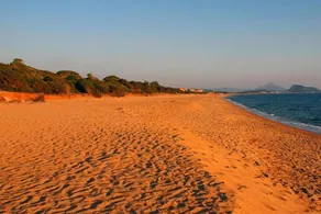 Seaview Flat In An Olive Grove By The Beach - Image 5