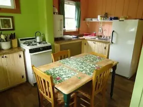 REDUCED RATE! ADIRONDACK CABIN WITH REAL WOOD BURNING FIREPLACE! - Image 4