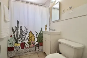 Cute and spacious 1 bedroom in a great location - Image 2