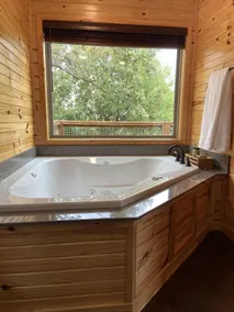 Treehouse/cabin with an amazing view of Mount Magazine - Image 3