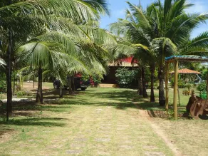 Beach house with pool, lagoon, mini tennis court, and horses. - Image 3