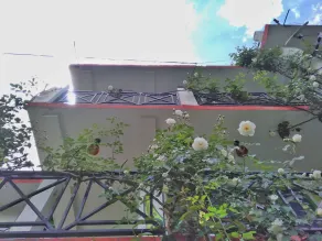 Hostel for backpackers around the world - Image 4