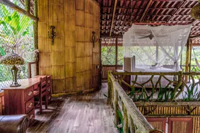 Secluded Treetop Home w/solar panels, Private Balcony, steps from the beach - Image 4