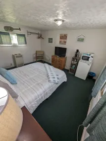 Woodland Retreat: A Rare Cabin by the Seaside  l Sleep 2 - Image 5