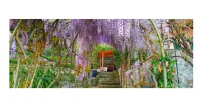 Villa Corbezzolo - Le coeur des Cinque Terre - Image 2