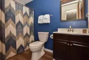 Seven Springs Swiss Mountain 1 Bedroom Standard Condo, Mountain Views! condo - Image 5
