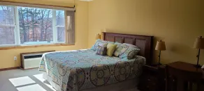 Romantic condo with beautiful sunset views of Smith Mountain Lake - Image 2