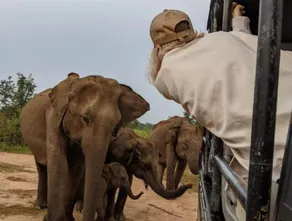 Ivory Safari House - Image 3