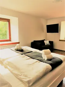 Restored historical house with soul,great moutain views, - Image 2