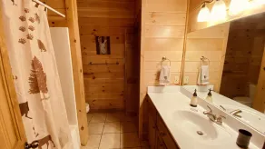 Luxurious Mountain Getaway w/ Pool and Sauna! Sleeps 20 - Image 5