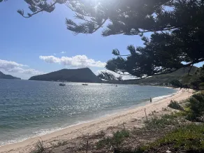Mesmerising Shoal - Top floor Apartment opposite Shoal Bay beach - Image 4