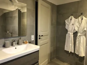 Luxury villa in the city center; 5-star in a quiet location - Image 3