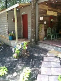 Sunflower Room with quiet deck - Image 2