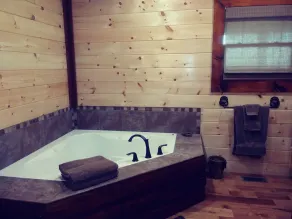 Private fishing pond with cabin and hot tub!! Perfect vacation spot. - Image 3