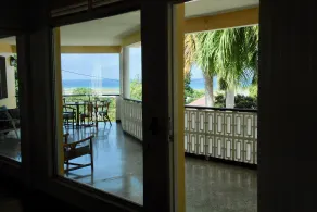 Palm Garden - Image 3