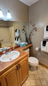 Luxury Condo w/ FREE WiFi, Parking, Heated Pool, Hot Tubs, Skier Shuttles - Image 5