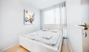 High end penthouse - large terrace - Image 5